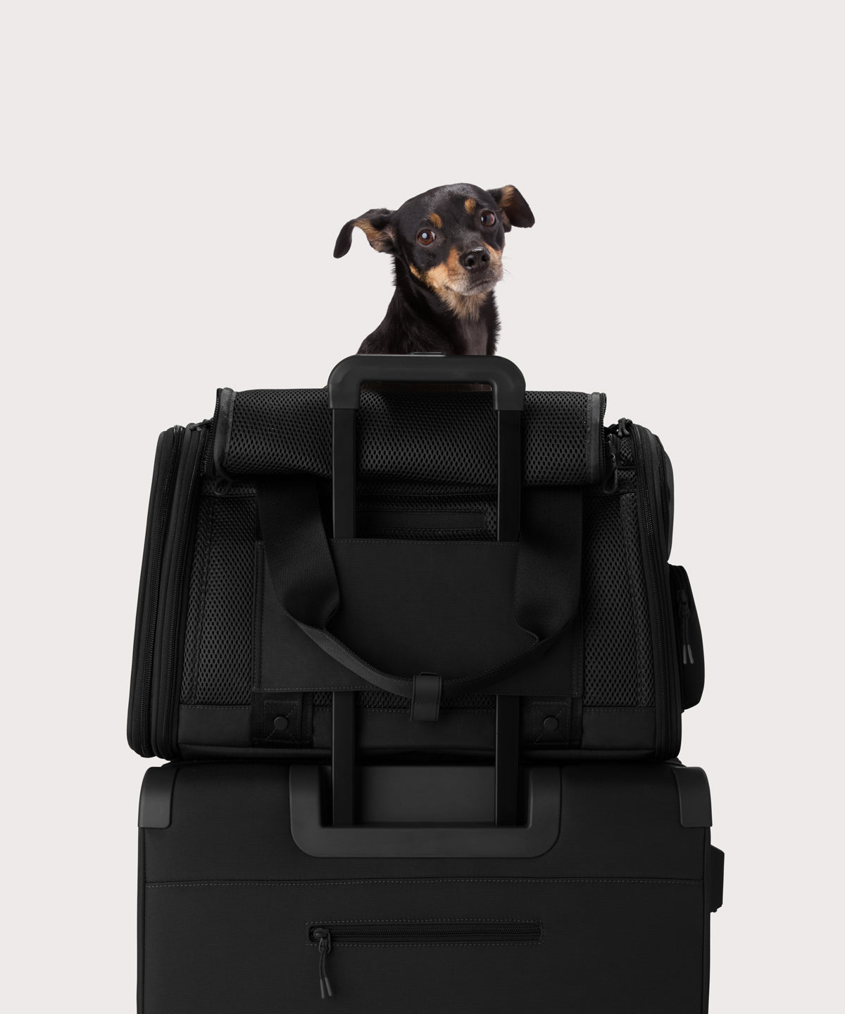 Kyoto Pet Carrier in Onyx, Large