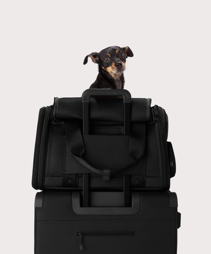 Kyoto Pet Carrier in Onyx, Large
