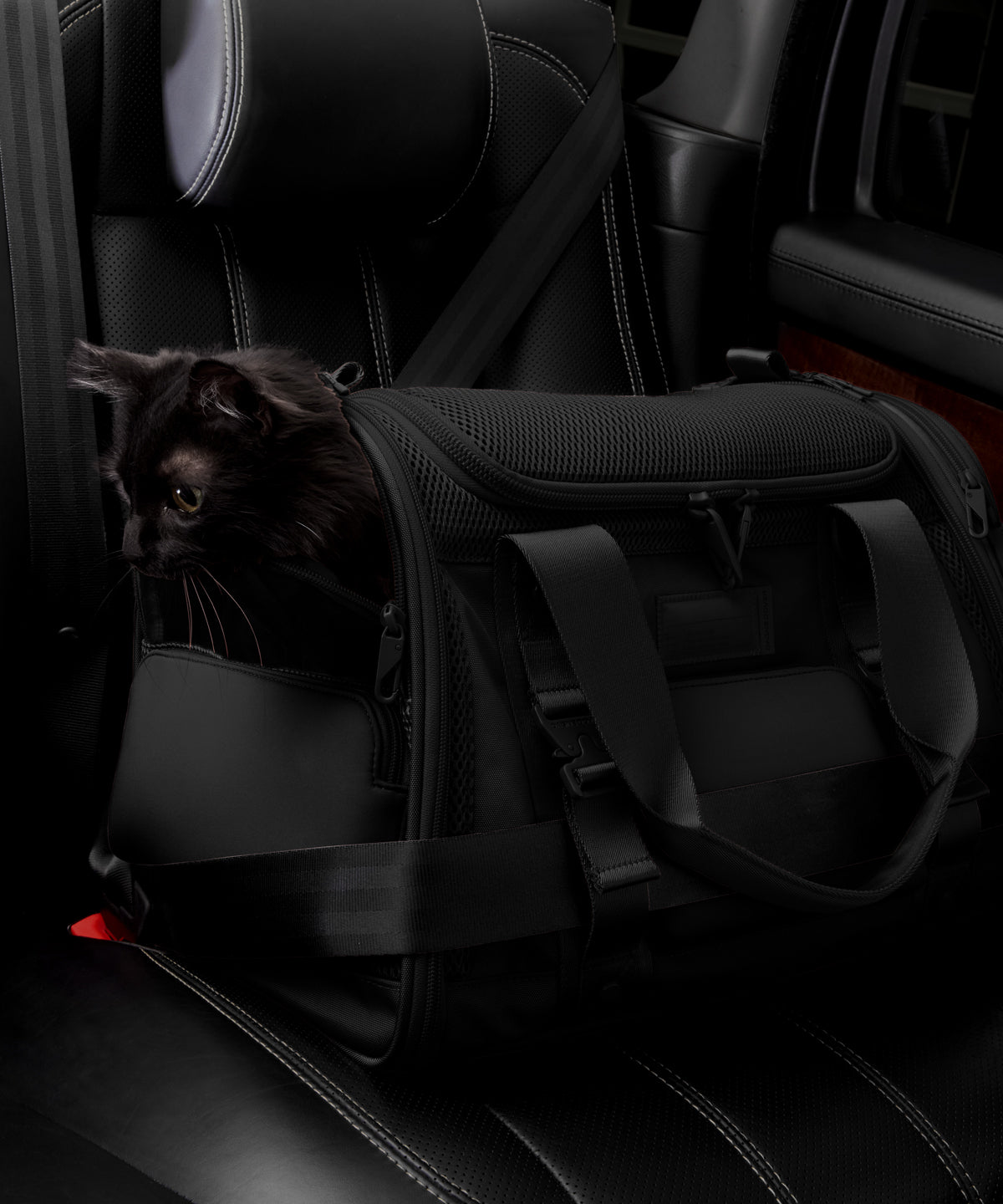 Kyoto Pet Carrier in Onyx, Large