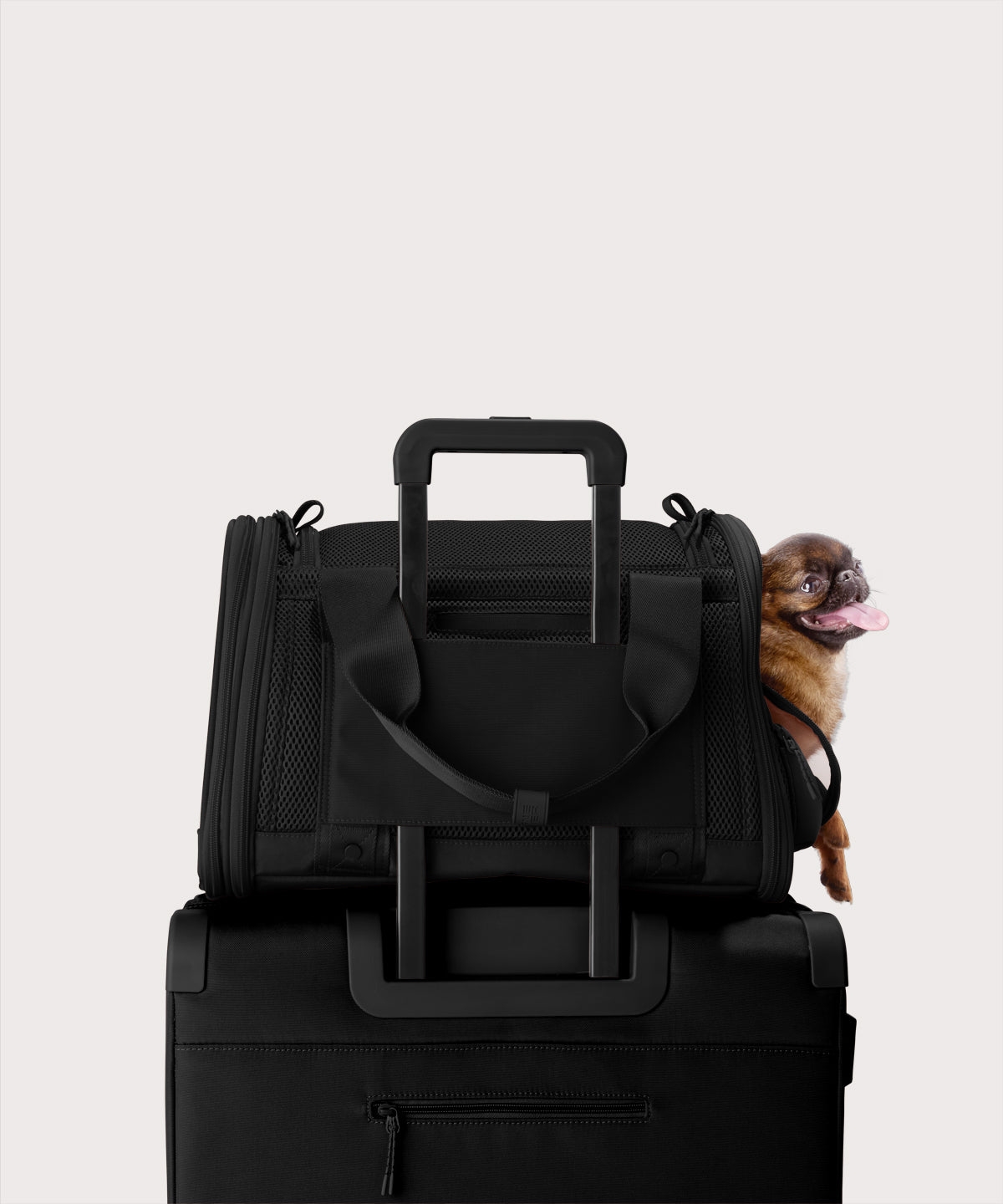 Kyoto Pet Carrier in Onyx, Small