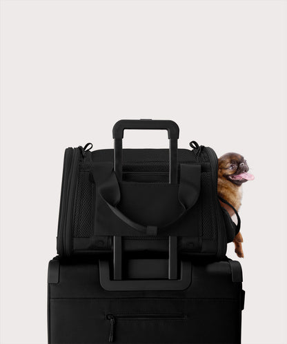 Kyoto Pet Carrier in Onyx, Small